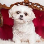 Minnie Griffiths - @minniegriffiths - Instagram