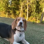minnie hamilton - @jesusismysavior86 - Instagram