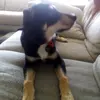 Minnie Herbert - @herbiehere - TikTok
