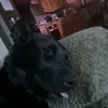minniedgafandhighasf - @minniedgafabtppl - TikTok