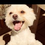 Minnie Howe - @minniemooo16 - Instagram