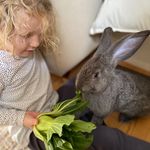 Minnie peanut howe - @minniepeanutbunny - Instagram