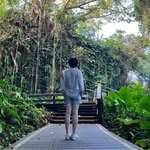 洪敏玲 - @hung.minnie - Instagram