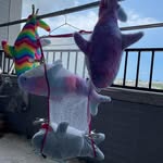 Minnie Hung - @minnie.hung.5 - Instagram