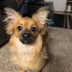 Minnie Hurt - Facebook
