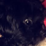 Minnie.hurtado - @minnie.hurtado - Instagram