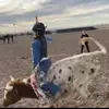 mini_joyner - @mini_joyner - TikTok