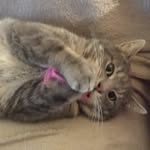 minnie king - @littleminnieking - Instagram