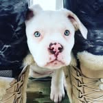 Minnie King - @not_so_minnie_ - Instagram