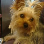 Minnie Kuo - Facebook