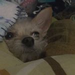 Minnie langley hutchings - @minniegirl2018 - Instagram