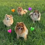 J'Lin Nitchapanit - @minnie_linly - Instagram