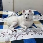 Minnielicious - @minnielicious1 - Instagram