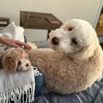 Major and Minnie - @majorandminnie - Instagram