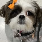 Minnie Major - @minniemajortherapy - Instagram
