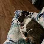 Minnie Masterson - Facebook