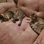Minnie and Meredith - @minnieandmeredith - Instagram
