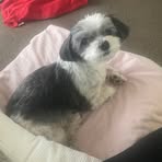 Minnie Nathan - Facebook