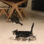 May, Minnie and Misty Nelson - @may_minnie_misty - Instagram