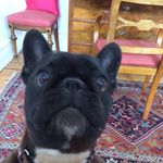 Minnie Mus Nelson - @minniemusnelson - Instagram