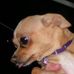 Minnie Pearson - Facebook