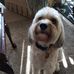 Minnie Pearson - Facebook