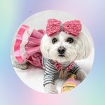 Minnie Penny - @minniepennyb - Instagram