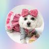 Minnie Penny - @minniepennyb - TikTok