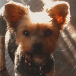 Minnie Pierce - @minnie_pierce_loveing - Instagram