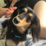 @minnie_porter16 - Instagram