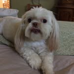 Minnie Potter - @minnie_lp - Instagram