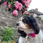 Trish Minnie - @minnie_potter - Instagram