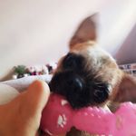 Minnie Queen - @minniem.queen - Instagram