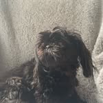 Minnie Rushefsky - @minnierushefsky - Instagram