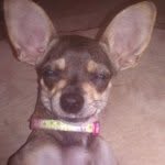 Minnie Shaffer - @princess_minnie11 - Instagram