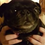 Minnie Shaffer - @minnieshaffer - Instagram