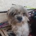 Minnie Singleton - Facebook