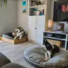 Mini&Steele - @ministeele7 - TikTok
