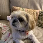 Minnie Butler-Sullivan - Facebook