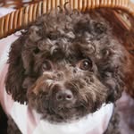 Minnie Sullivan - @minnie.poo.sull - Instagram