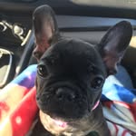 Minnie Sullivan - @minnie_moomoo20 - Instagram
