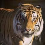 Adem Aybar 196 - @minniewalters8434755 - Instagram
