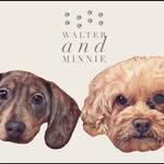 walter and Minnie - @walter_and_minnie - Instagram