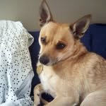 Minnie Warner - @normawarner1943 - Instagram