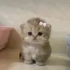 Minnie West - @minnie.west5 - TikTok