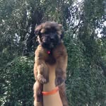Rosie Elizabeth Seebold - @minnie_wheat_rosie - Instagram