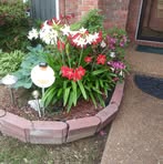 Minnie Wiley - Facebook