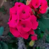 user863280705512 - @minoopatel1 - TikTok