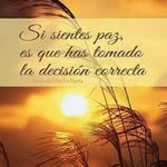 Minor Perez - @minor4415 - Instagram