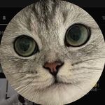 Minseo Kim - @minxissh - Instagram